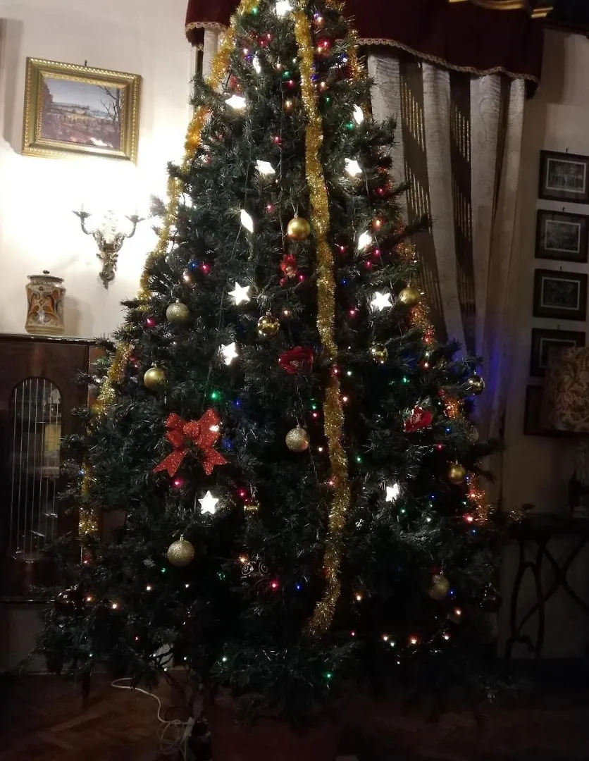 Albergo Anna Perugia 2*,